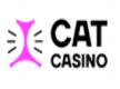 Cat казино